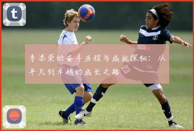 李添荣的奋斗历程与成就探秘：从平凡到卓越的成长之路